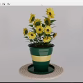 Potted Sunflower Plant In Blue Green And White Striped Pot On Woven Mat