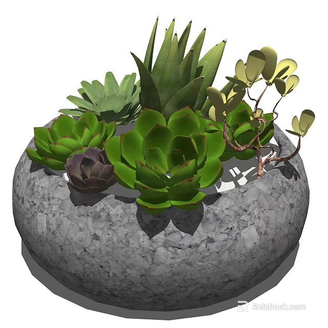 Bonsai Potted Plant In Stone Pot With Various Succulent Plants Green Purple Leaves 3d model 