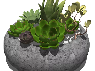 Bonsai Potted Plant In Stone Pot With Various Succulent Plants Green Purple Leaves 3d model
