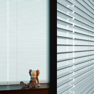 home curtain 3d model