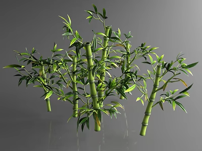 Green Bamboo Stems With Fresh Leaves Growing In Cluster On Glossy Surface 3d model