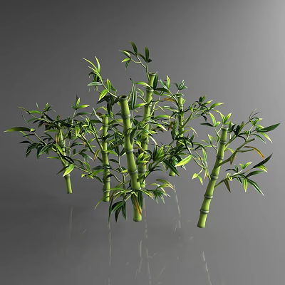 Green Bamboo Stems With Fresh Leaves Growing In Cluster On Glossy Surface 3d model