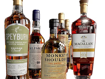 Various Premium Whiskey Brands Bottles Display With Speyburn Talisker And Macallan Labels 3d model