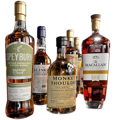 Various Premium Whiskey Brands Bottles Display With Speyburn Talisker And Macallan Labels 3d model