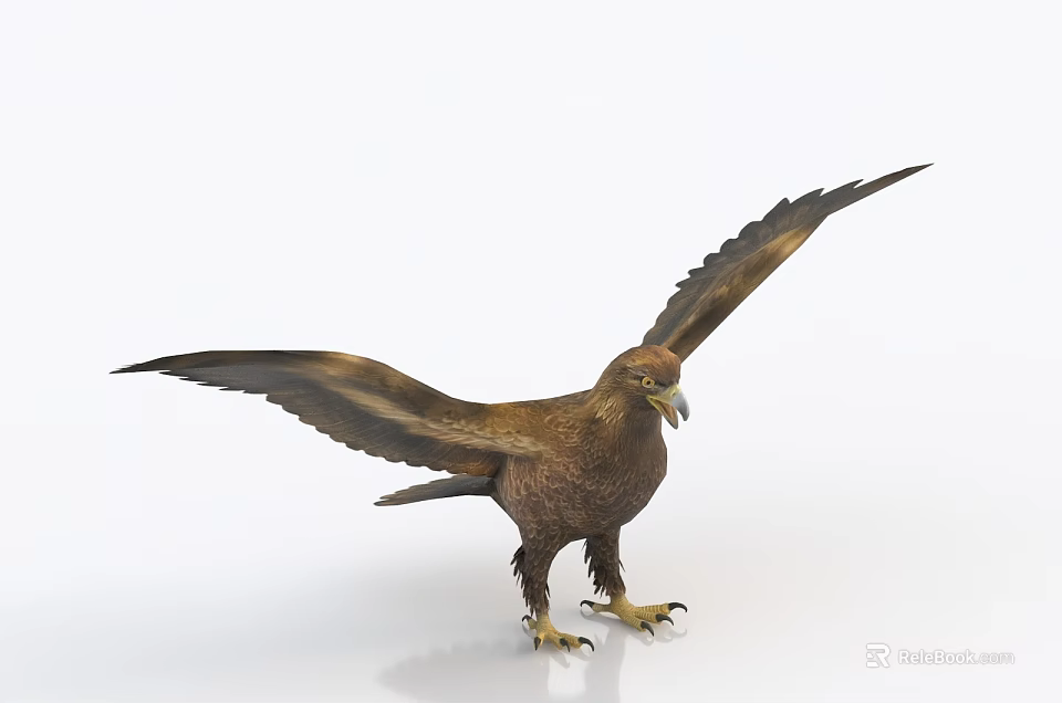 Majestic Brown Eagle Spreading Wings in Standing Posture with Sharp Talons 3d model
