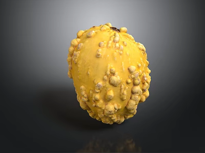 Yellow Fruit With Bumpy Surface And Round Shape On Dark Background 3d model
