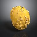 Yellow Fruit With Bumpy Surface And Round Shape On Dark Background