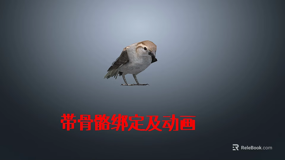 Rigged Animated Flying Bird Model Featuring Skeleton Binding And Animation Details 3d model 