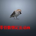 Modern Little Sparrow Birds Sparrow Wildlife Birds Flying Bird with Skeleton Animation 3d model