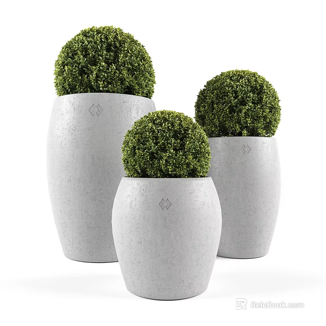 Three White Concrete Pots With Round Green Bonsai Plants In Different Sizes For Home Decor 3d model 