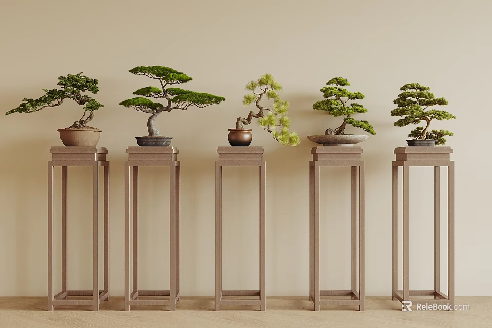 Bonsai plants displayed on five brown pedestals against light colored wall 3d model