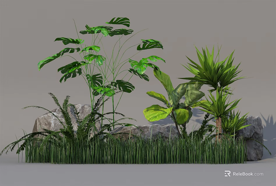 Diverse Green Plants With Large Leaves And Stone In Natural Garden Setting 3d model 