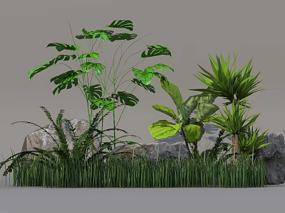 Diverse Green Plants With Large Leaves And Stone In Natural Garden Setting 3d model