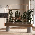 Golden Frame Plant Stand with Various Cacti and Plants and Marble Base in Modern Interior