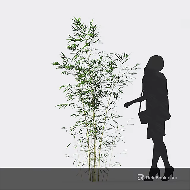 Green Bamboo Plants Near Woman Silhouette In Simple White Scene 3d model 