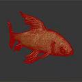 Red and White Goldfish with Transparent Fins Red Spots Isolated on Dark Background with Reflection