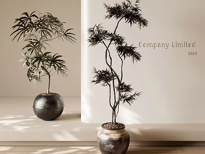 Elegant Decorative Indoor Bonsai Potted Plant With Tall Leafy Branches And Dark Ceramic Pot 3d model