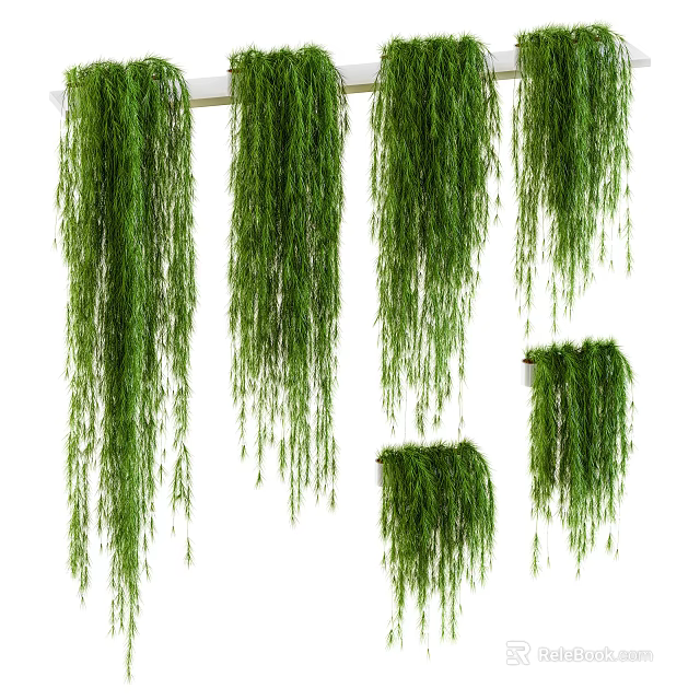 Beautiful Lush Green Trailing Hanging Potted Plants For Indoor Home Decoration 3d model 