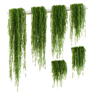 Beautiful Lush Green Trailing Hanging Potted Plants For Indoor Home Decoration 3d model