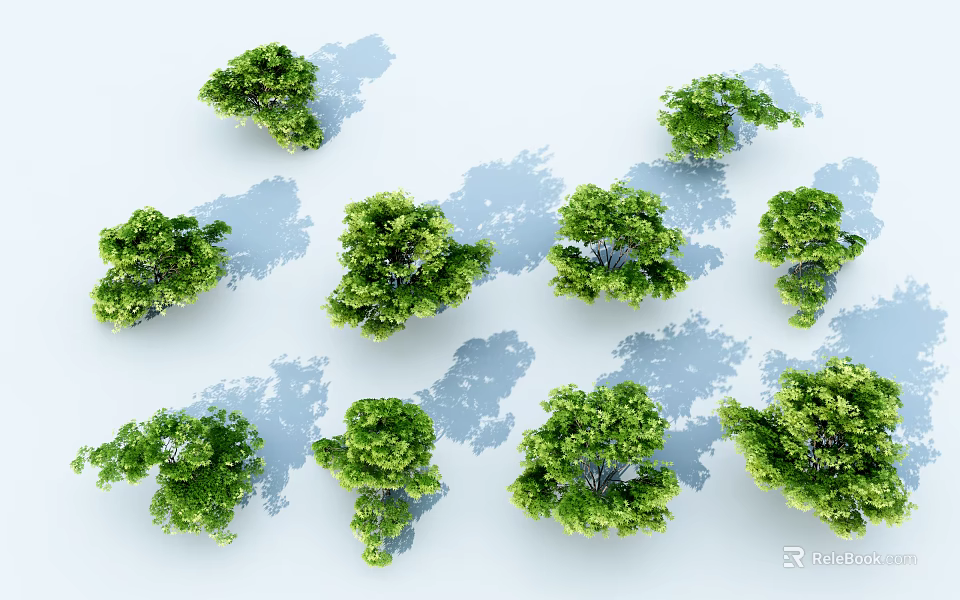 Multiple Green Arbor Trees Displayed With Shadow Effects On White Background 3d model
