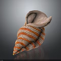 Marine Conch Animal Close Up View Of Shiny Spiral Shell With Orange And White Stripes
