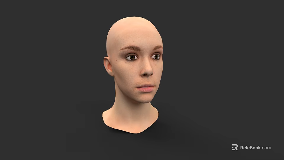 Realistic 3D Model of Female Head with Bald Scalp and Detailed Facial Features 3d model 