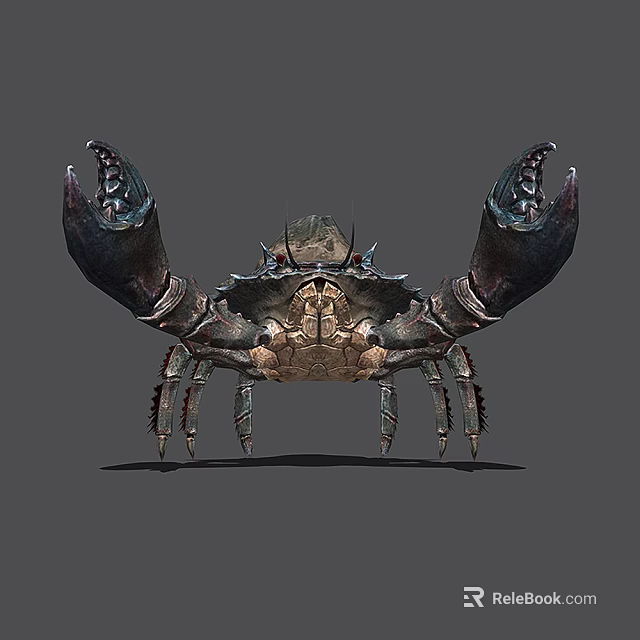 Large Clawed Aquatic Animal Crab with Textured Shell Spiked Exoskeleton and 3D Rendered Design 3d model 