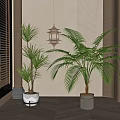 Large Indoor Potted Palm Plants in Modern Room with Wooden Elements and Window Blinds