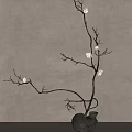 Elegant Vase With White Flower Branches And Shadow On Light Background