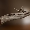 Natural Stone And Weathered Wooden Branches For Rustic Interior Decor 3d model