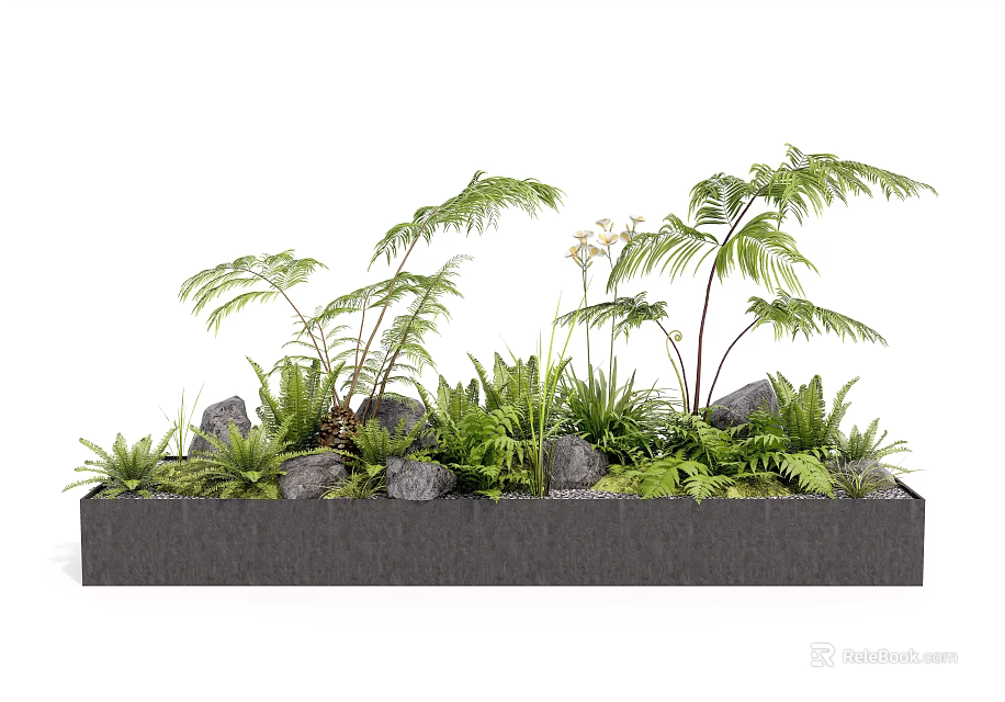Fern Plants and Green Foliage in Modern Rectangular Planter Box with Stones 3d model 