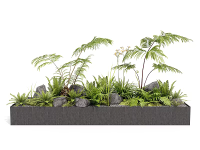 Fern Plants and Green Foliage in Modern Rectangular Planter Box with Stones 3d model