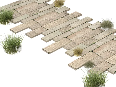 Natural Stone Pathway With Grass Tufts In Outdoor Garden Landscape Design 3d model