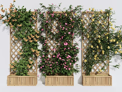 Decorative Flowering Vines Growing On Trellises In Wooden Planters With Pink And Yellow Blooms 3d model