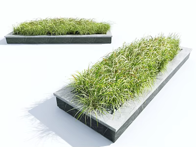 Lush Green Shrubs Planted in Modern Gray Planters for Outdoor Landscape Design 3d model