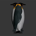 Penguins Standing Front And Back With Orange Neck White Belly Black Back On Dark Background
