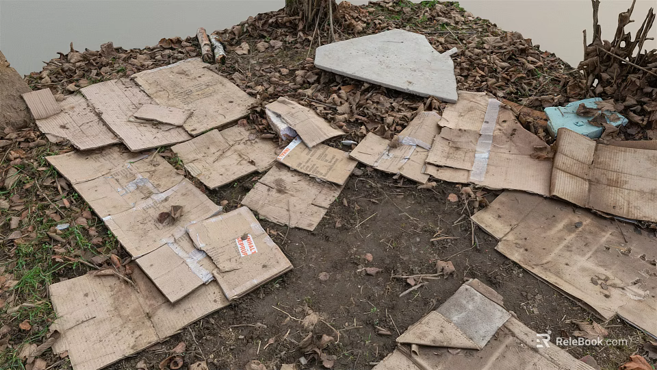Scattered Cardboard Pieces On Dirt Ground With Fallen Leaves Near Tree Trunk And Water Edge 3d model 