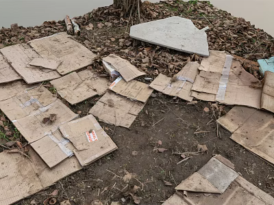 Scattered Cardboard Pieces On Dirt Ground With Fallen Leaves Near Tree Trunk And Water Edge 3d model