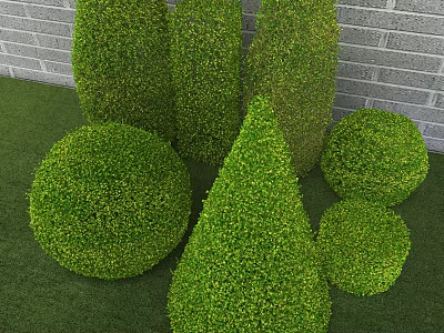 Well Trimmed Garden Shrubs in Various Geometric Shapes with Gray Brick Wall and Green Grass 3d model