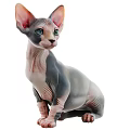 Gray And Pink Hairless Cat With Green Eyes Large Ears And Sleek Body
