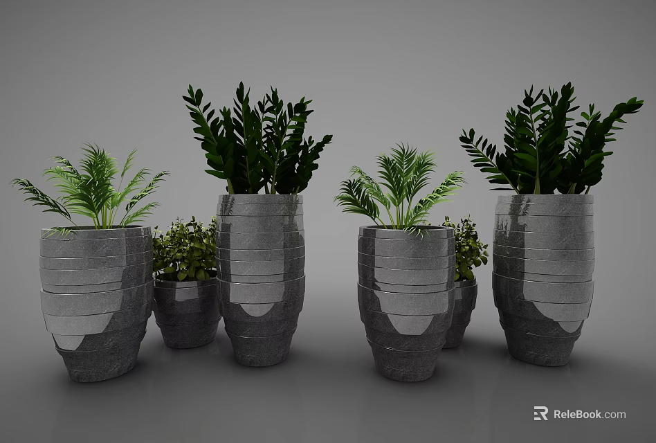 Bonsai Potted Plants In Gray Ceramic Pots With Different Sizes And Green Foliage 3d model 