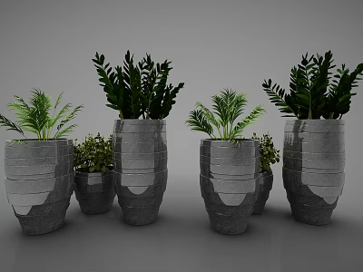 Bonsai Potted Plants In Gray Ceramic Pots With Different Sizes And Green Foliage 3d model
