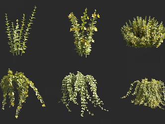 golden leaf passing through the road yellow round leaf passing through the road yellow hanging pot plant green plant flowers and vines 3d model