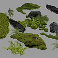 Natural Micro Landform Elements With Green Moss Rocks And Fern Plants