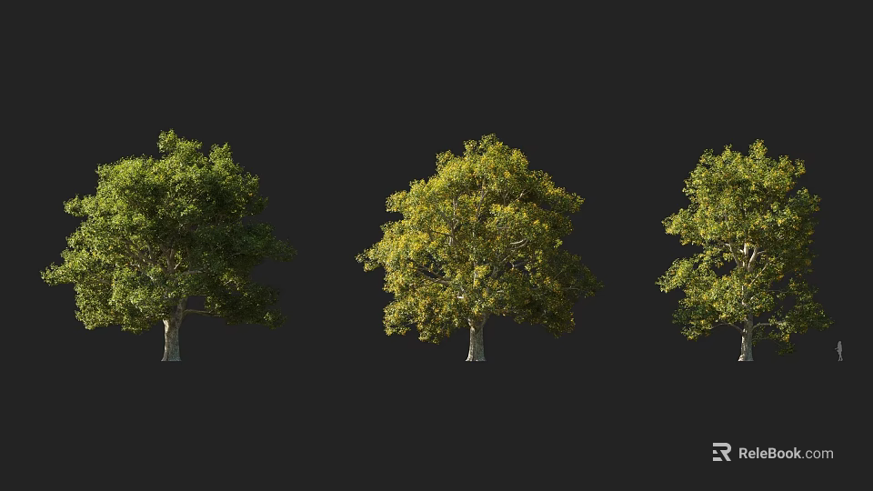 Three Arbor Trees With Green And Yellow Foliage Against Dark Background 3d model