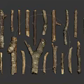 Natural Plant Branches With Various Shapes Sizes Brown Color And Green Moss On Dark Background