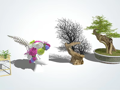 Stylish Indoor Bonsai Potted Plants With Various Branches And Green Foliage 3d model