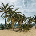 Modern Date Palm Tropical Date Palm 3d model