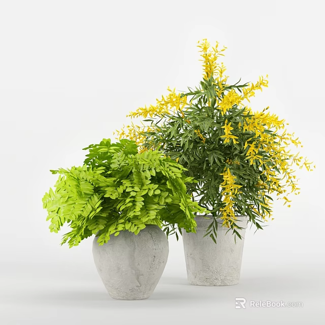 Potted Plants With Green Ferns And Yellow Flowers In Gray Concrete Pots 3d model 