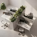Modern Office Desks With Green Plants Dividers Computers Monitors And Office Chairs